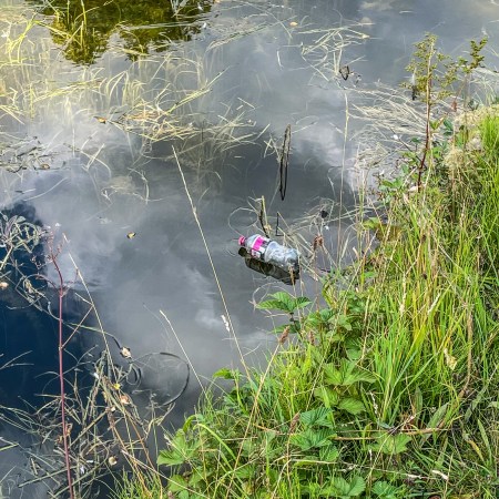A discarded plastic bottle floats among reeds near the grassy bank of the canal, with clouds reflected in the still water.