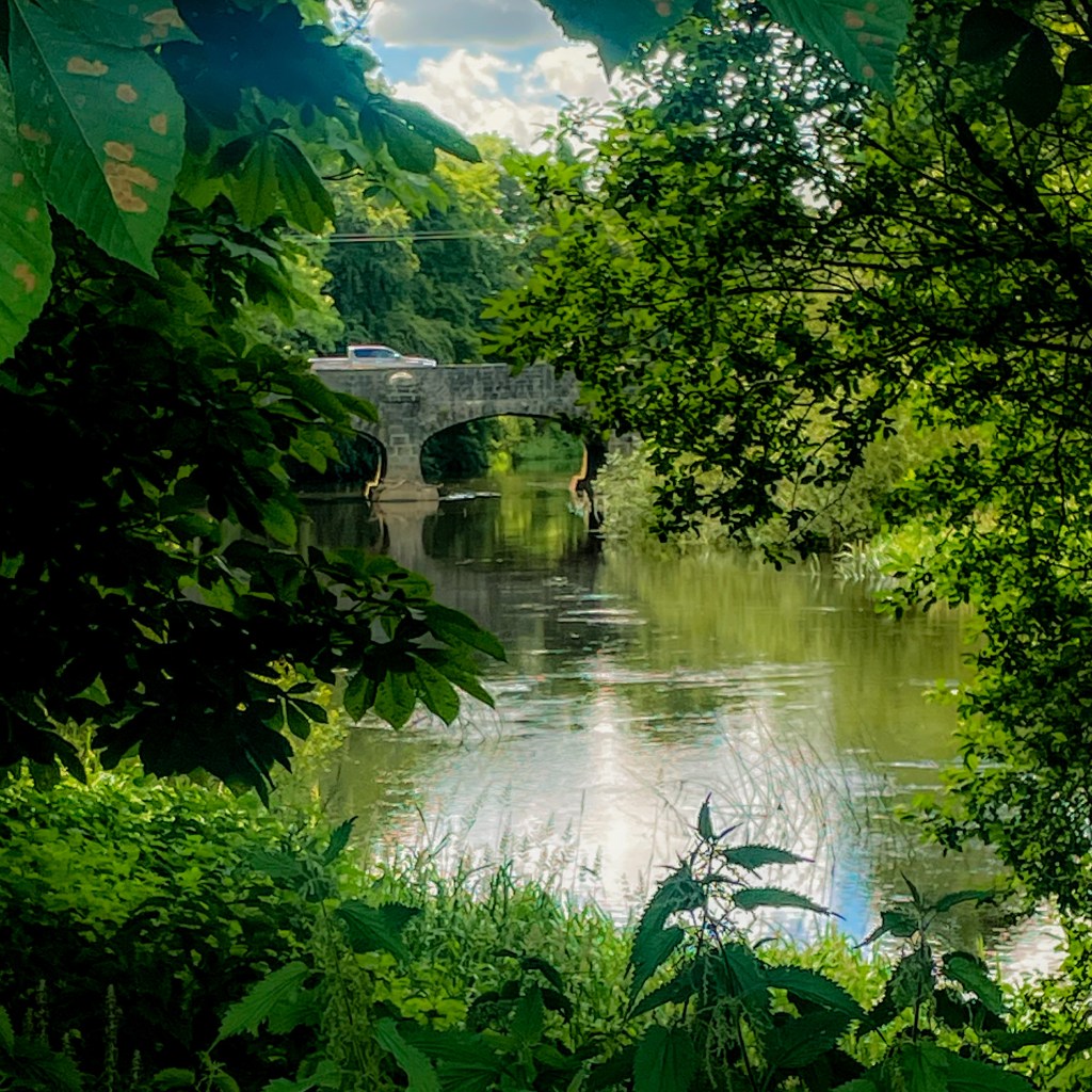 A stone bridge over the River Barrow at Monasterevin, seen through dense green summer foliage. A car crosses the bridge, which is reflected in the calm water below.