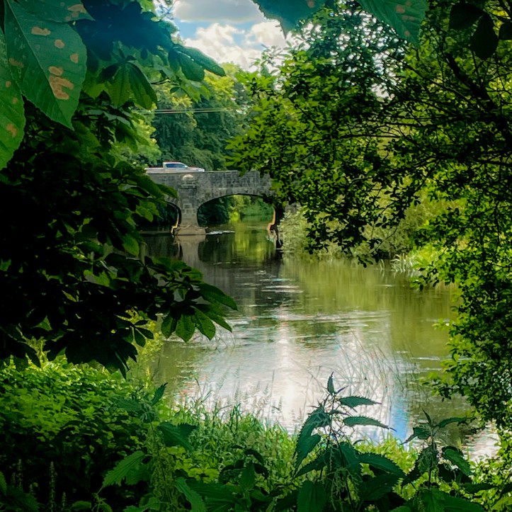 A stone bridge over the River Barrow at Monasterevin, seen through dense green summer foliage. A car crosses the bridge, which is reflected in the calm water below.