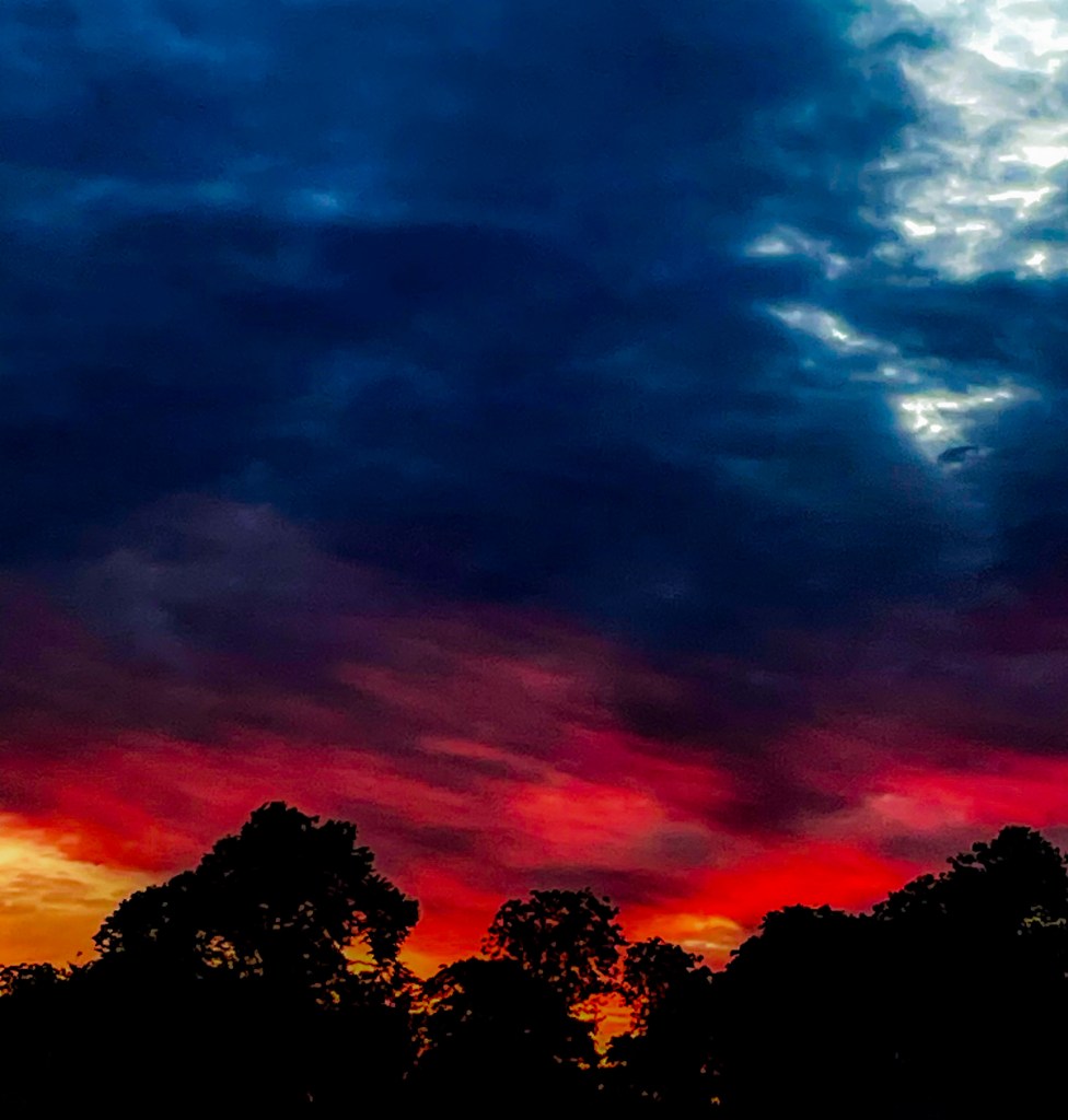 An intense red and orange sunset beneath deep blue storm clouds, with a row of trees silhouetted along the horizon.