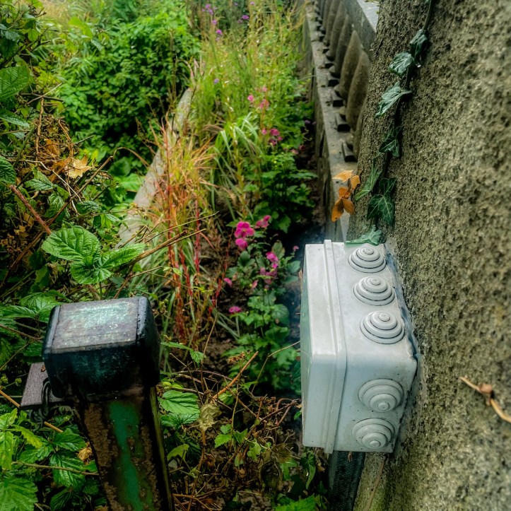 Green riverside plants and pink flowers growing between the Triogue River and electrical boxes mounted beside a stone bridge.