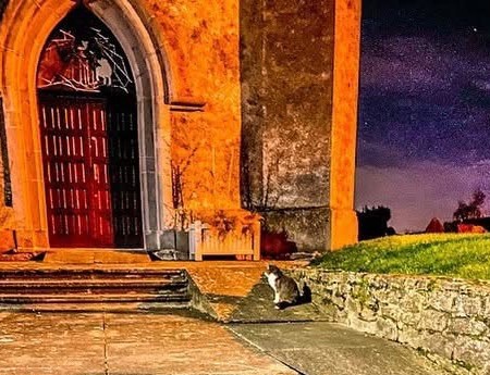 A black and white cat on a church access ramp beside stone steps, a warmly illuminated pointed doorway and a low stone wall.