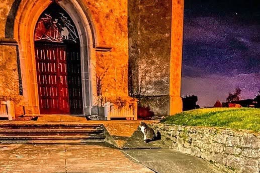 A black and white cat on a church access ramp beside stone steps, a warmly illuminated pointed doorway and a low stone wall.