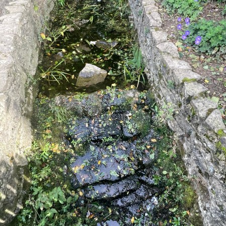 Water flowing over dark, wet stones between two stone walls, with scattered leaves, green plants and purple flowers along the right bank.