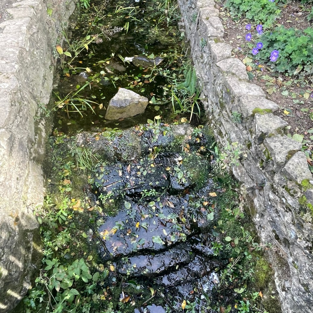Water flowing over dark, wet stones between two stone walls, with scattered leaves, green plants and purple flowers along the right bank.